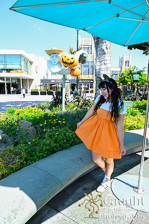 024 Pumpkin Bound