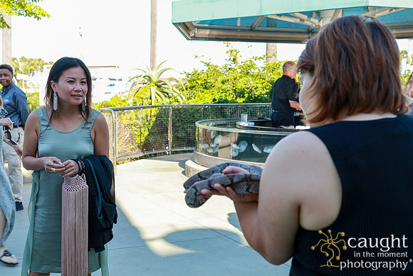 010 Aquarium of the Pacific Blue Whale Gala and After Party 2025
