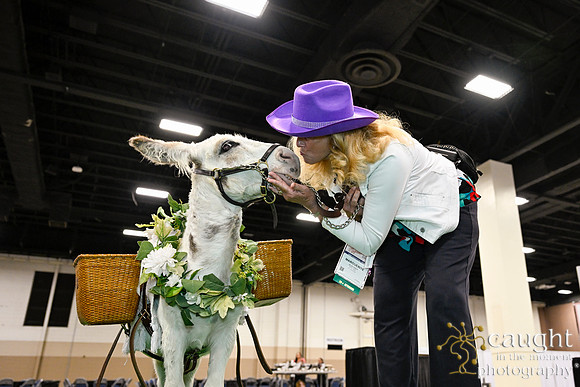 259 ADHA26 Annual Conference Fort Worth