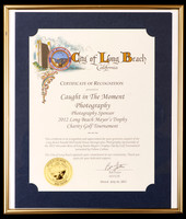 RecognitionfromMayorFoster2012
