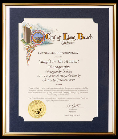 RecognitionfromMayorFoster2012