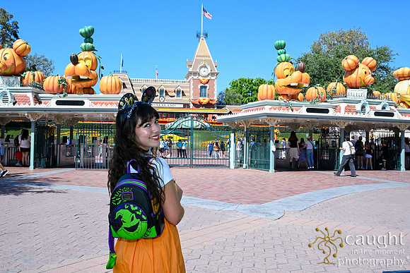 072 Pumpkin Bound