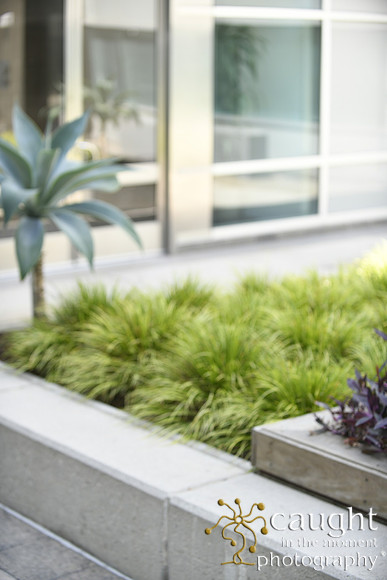 5054 Courtyard