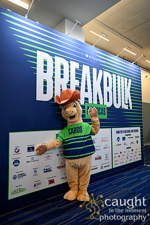 013 Breakbulk Americas Houston 2026