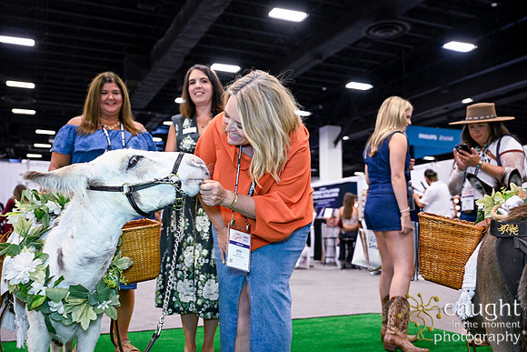 264 ADHA26 Annual Conference Fort Worth