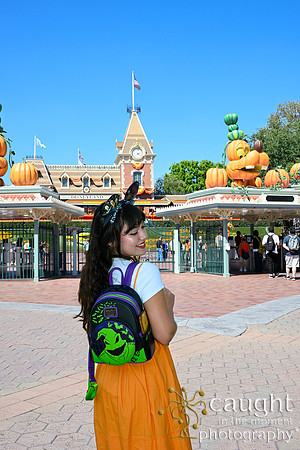 068 Pumpkin Bound