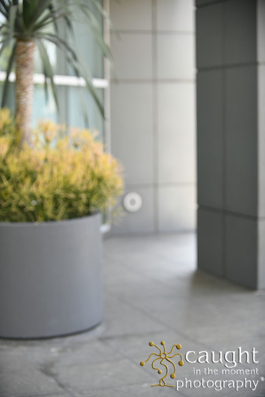 5093 Lobby Entrance