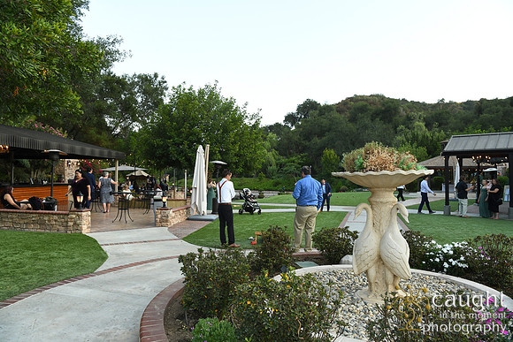 854 Chompff Wedding at Los Willows