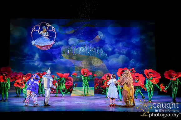 254 WizardofOzMTW2023