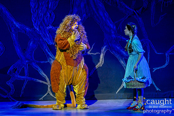225 WizardofOzMTW2023