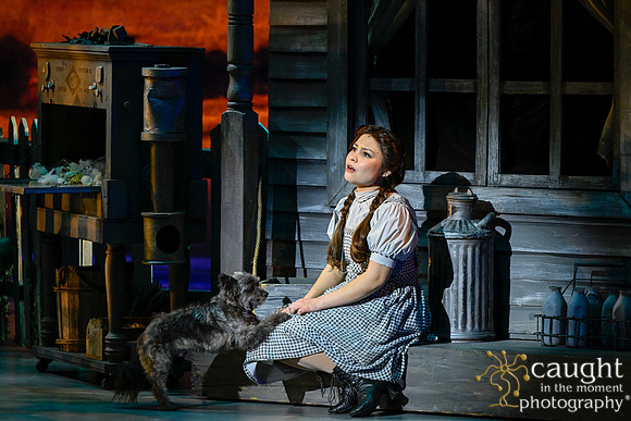 015 WizardofOzMTW2023