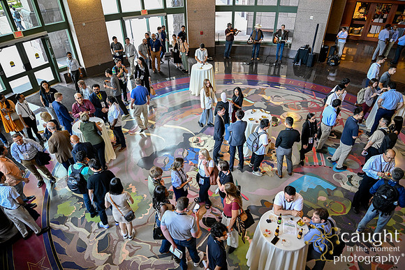 009 IEEE PES General Meeting 2025 Austin