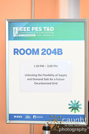 1600 IEEE PES TandD Anaheim 2024