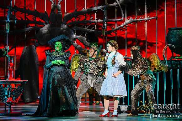 440 WizardofOzMTW2023