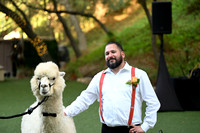 723 Chompff Wedding at Los Willows