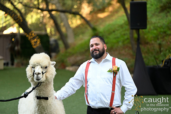 723 Chompff Wedding at Los Willows