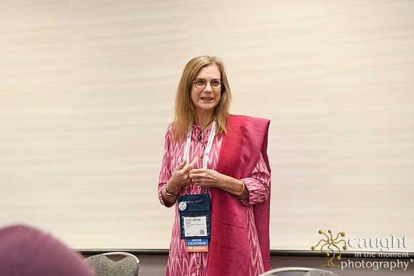 480 AOM 2024 AMC Sessions