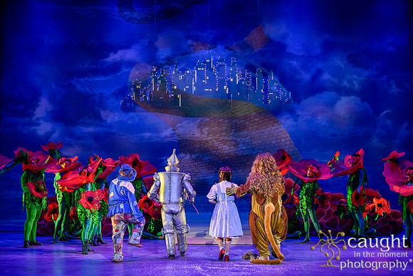 260 WizardofOzMTW2023