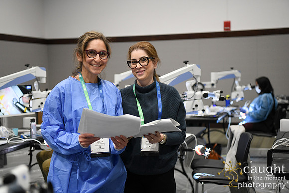 446 AAE 2025 in Boston - Hands-On Courses