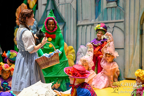 088 WizardofOzMTW2023