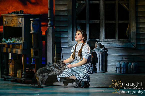 014 WizardofOzMTW2023