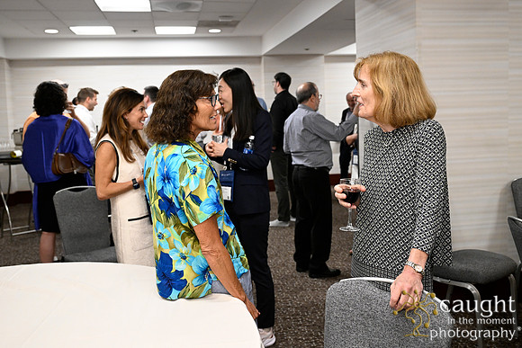 743 AOM 2024 AOM Fellows Responsible Research in Management Awards