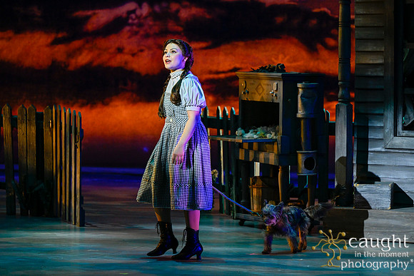 016 WizardofOzMTW2023