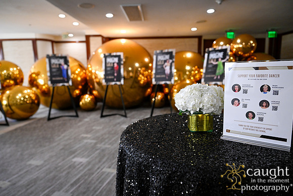022 Imagine Gala 2024