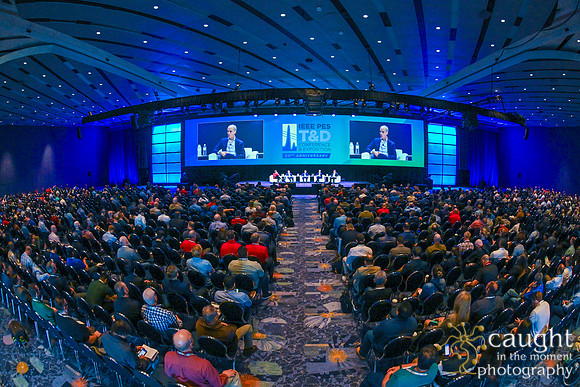 1121 IEEE PES TandD Anaheim 2024