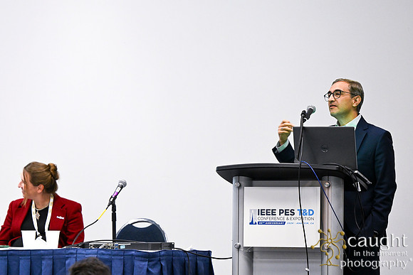 1334 IEEE PES TandD Anaheim 2024