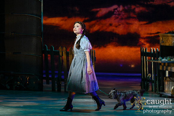 017 WizardofOzMTW2023