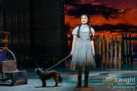 019 WizardofOzMTW2023