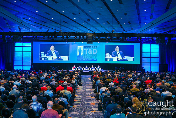 1119 IEEE PES TandD Anaheim 2024