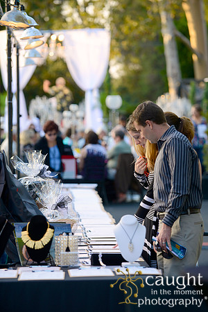 099 MTW Broadway in the Park 2014