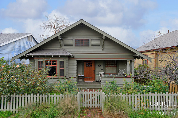 539 Daisy