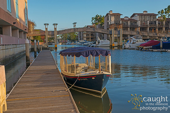 Marina Pacifica Duffy