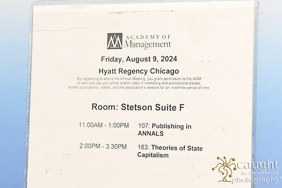 676 AOM 2024 Annals Sessions