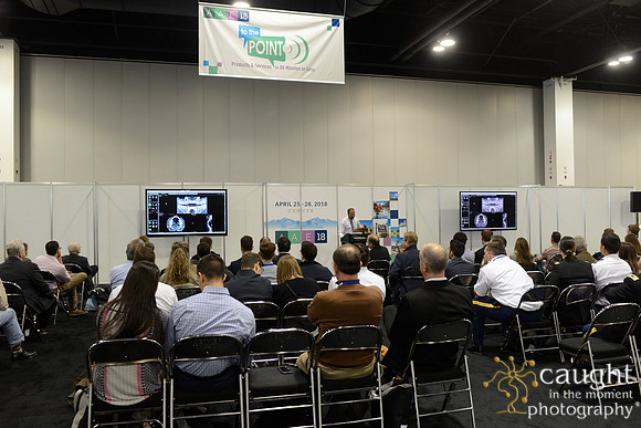 399 AAE 2018 in Denver-Corporate Workshops & Lectures