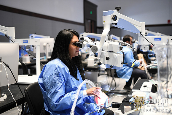 380 AAE 2025 in Boston - Hands-On Courses