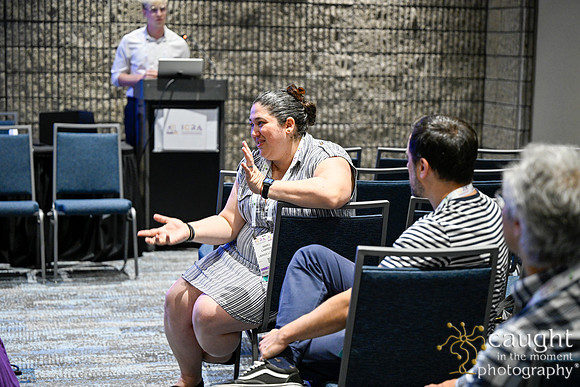 923 IEEE ICRA 2025 Atlanta