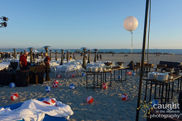 071 Dermatology Forum for Veterinarians 2014 Hotel del Coronado