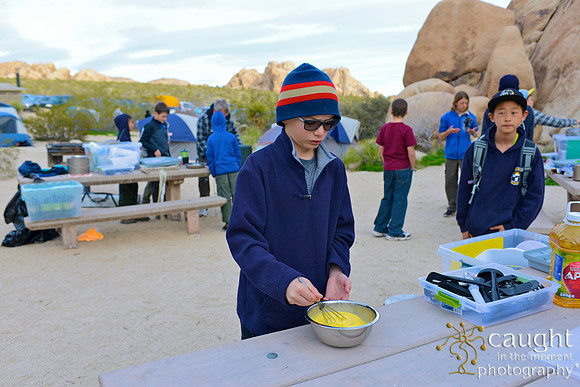 005 Joshua Tree 2017 Troop 105