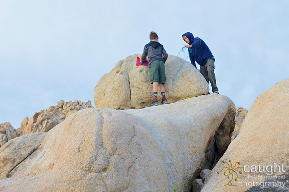 007 Joshua Tree 2017 Troop 105