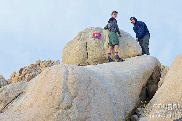008 Joshua Tree 2017 Troop 105