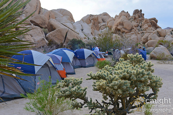 012 Joshua Tree 2017 Troop 105