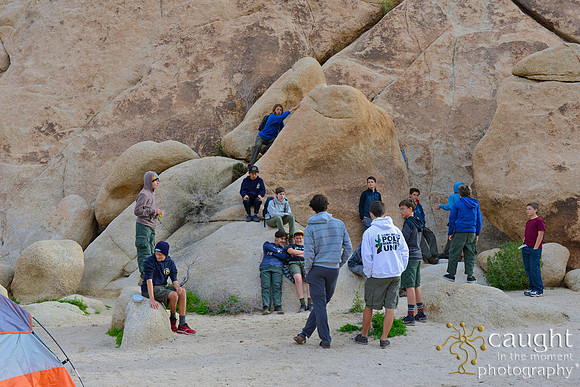 013 Joshua Tree 2017 Troop 105