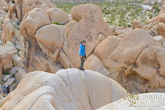 024 Joshua Tree 2017 Troop 105