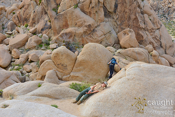 025 Joshua Tree 2017 Troop 105