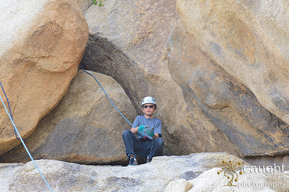 031 Joshua Tree 2017 Troop 105
