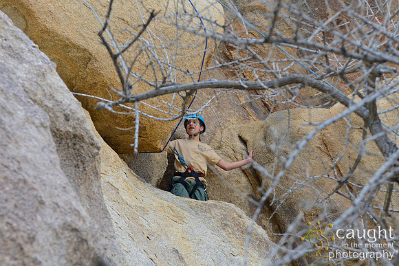 035 Joshua Tree 2017 Troop 105